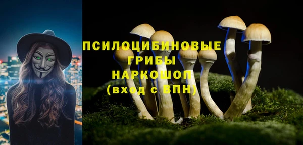 прущая мука Новодвинск