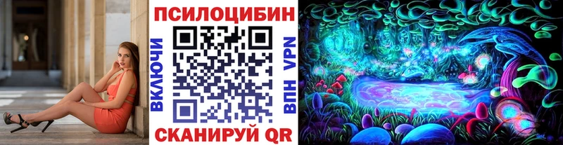 Галлюциногенные грибы прущие грибы  Полярные Зори 
